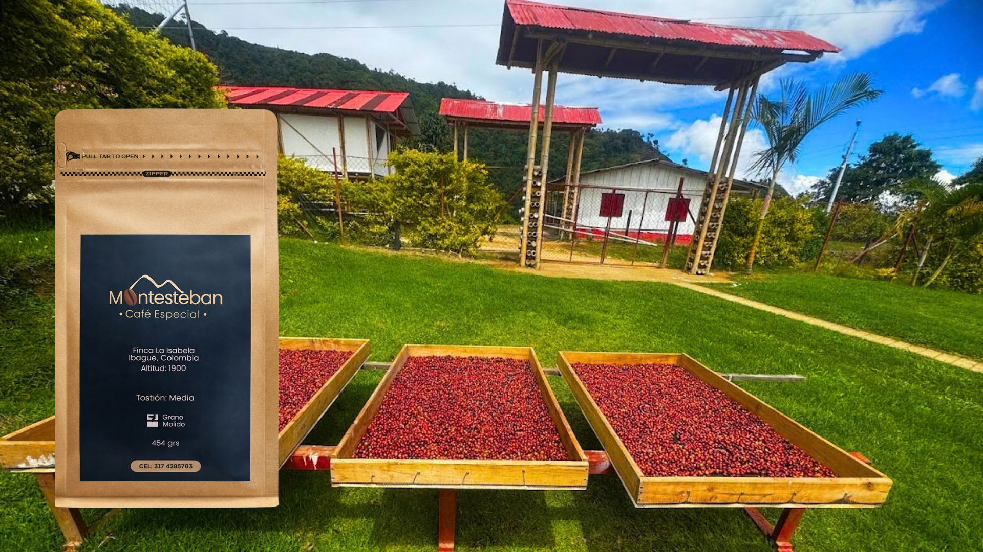 Cafetal de Finca La Isabela entre las montañas de Ibagué, Colombia.